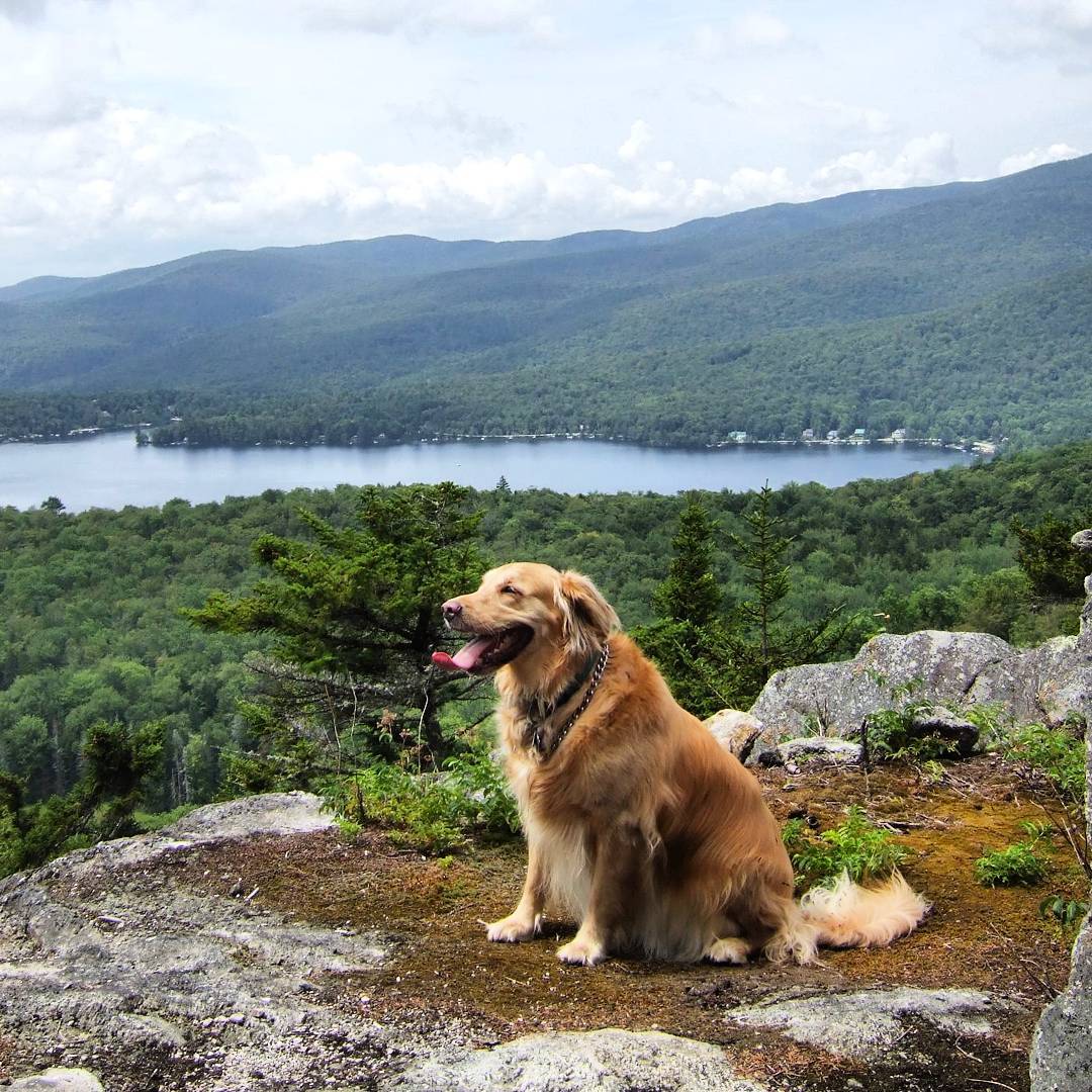 Minus 33 Merino wool clothing, A little fun with your dog never hurt anyone! #dogs #hiking