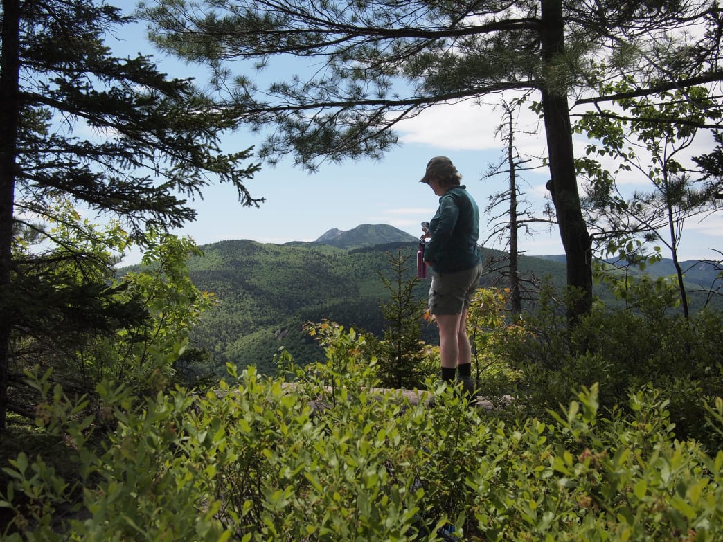 20190403-New Hampshire-white mountain national forest