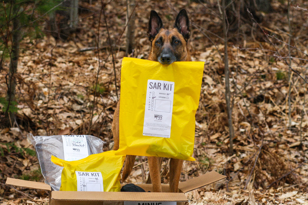Warming kit program held by a cute dog