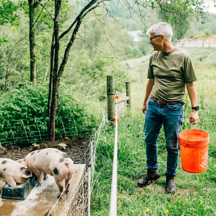 Man walking with an orange bucket near pigs in a natural setting wearing a lightweight merino t shirt #color_tan-499